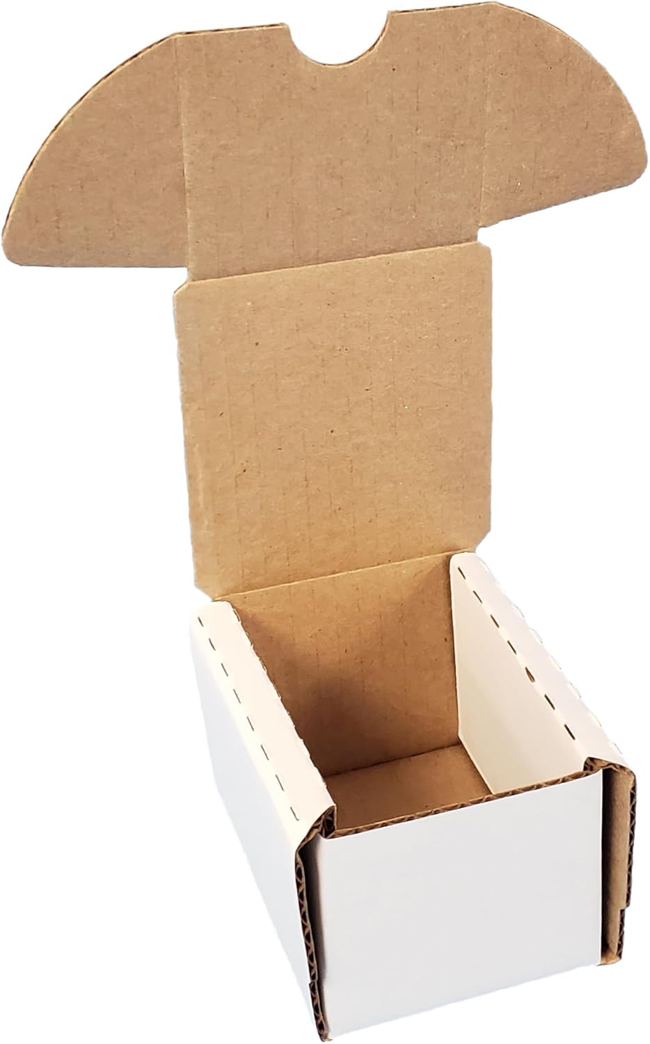 Storage Box - 100 Count BCW